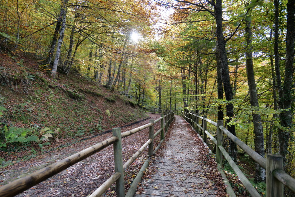 Autumn Routes in Asturias