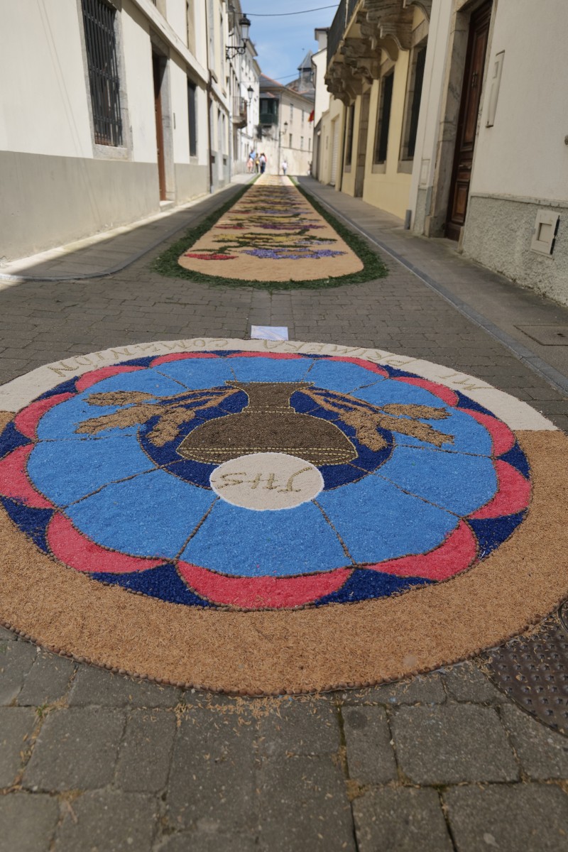 First Communion sidewalk flower display with a chalice and wheat, labeled “Mi Primera Comunión”